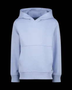 RAIZZED Hoodies En Truien<Hoody Narton