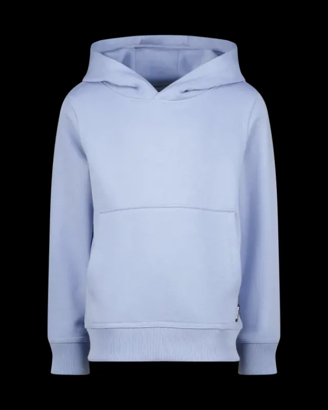 RAIZZED Hoodies En Truien<Hoody Narton