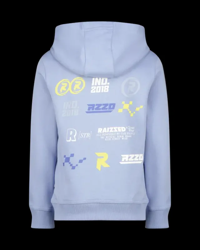 RAIZZED Hoodies En Truien<Hoody Narton