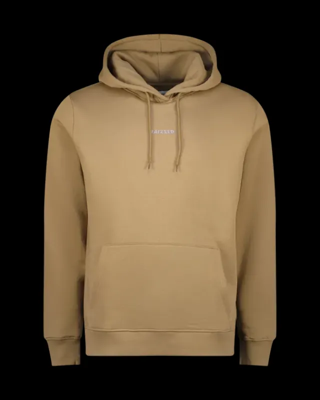 Heren RAIZZED Hoodies En Truien<Hoody Newton