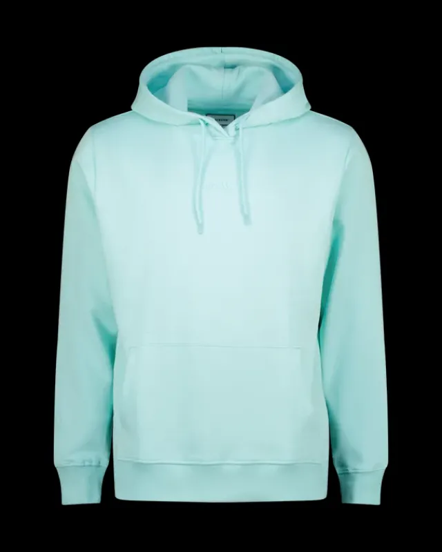 Heren RAIZZED Hoodies En Truien<Hoody Newton