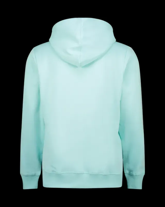 Heren RAIZZED Hoodies En Truien<Hoody Newton