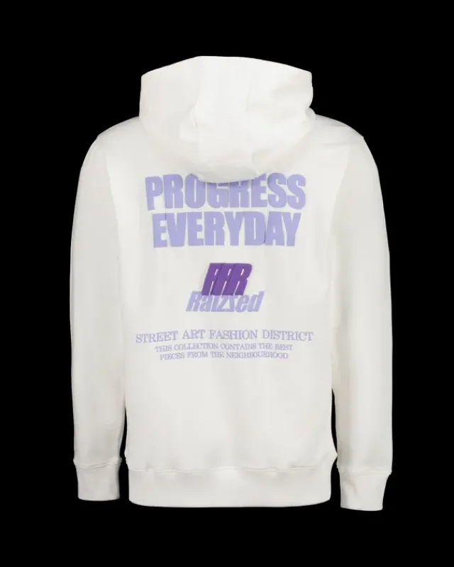 Heren RAIZZED Hoodies En Truien<Hoody Niantic