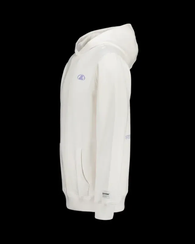 Heren RAIZZED Hoodies En Truien<Hoody Niantic
