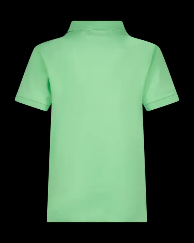 RAIZZED T-shirts En Polo's<Polo Hallow