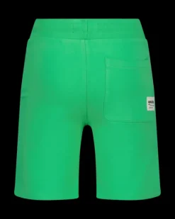 RAIZZED Korte Broeken<Shorts Ramapo