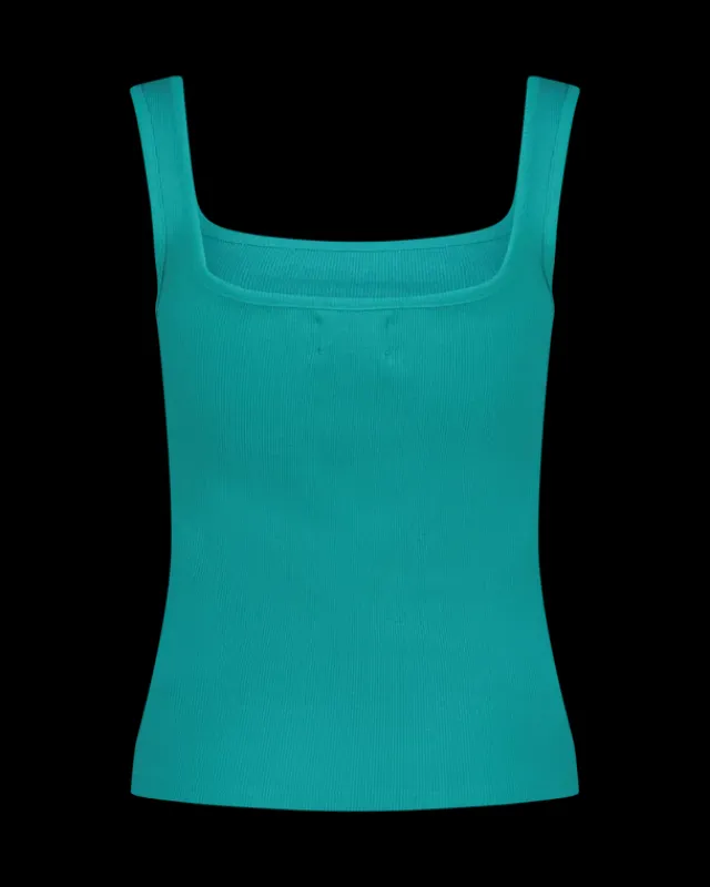 DAMES RAIZZED Hoodies En Truien<Singlet Jada