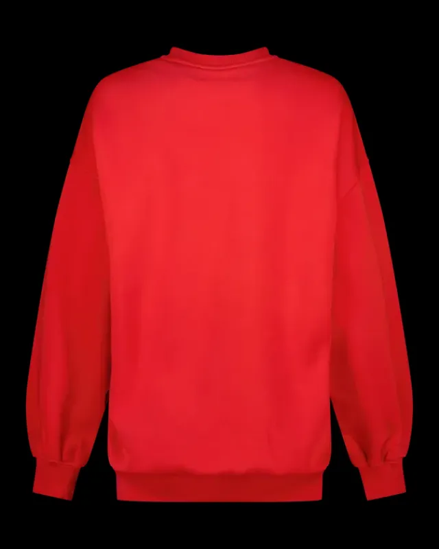 DAMES RAIZZED Hoodies En Truien<Sweater Aiva