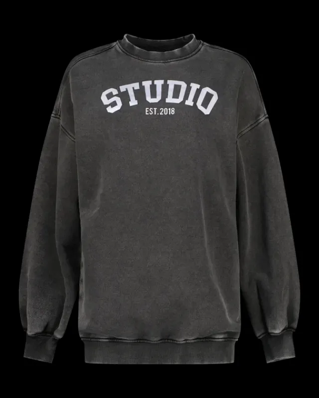 DAMES RAIZZED Hoodies En Truien<Sweater Aiva