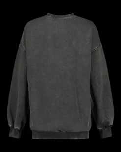 DAMES RAIZZED Hoodies En Truien<Sweater Aiva
