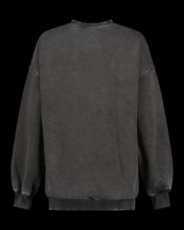 DAMES RAIZZED Hoodies En Truien<Sweater Aiva