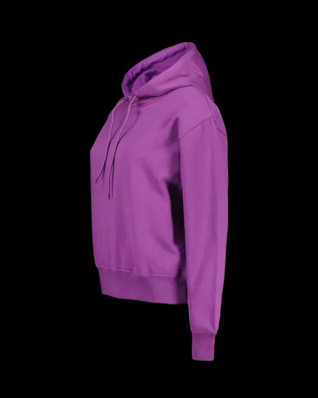 DAMES RAIZZED Hoodies En Truien<Sweater Nadine