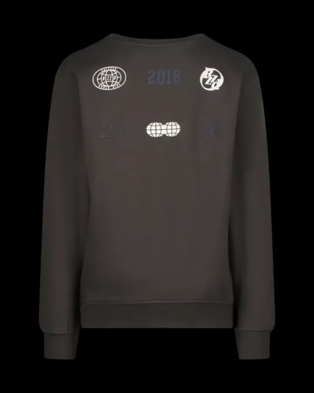 RAIZZED Hoodies En Truien<Sweater Nador