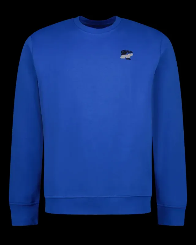 Heren RAIZZED Hoodies En Truien<Sweater Newport