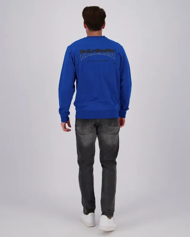Heren RAIZZED Hoodies En Truien<Sweater Newport