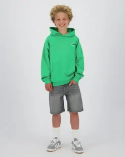 RAIZZED Hoodies En Truien<Sweater Newport