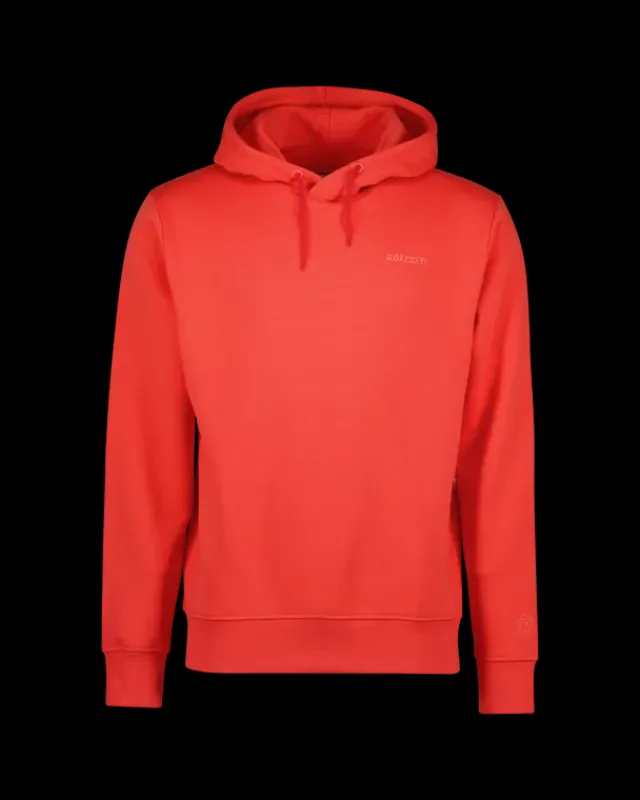 Heren RAIZZED Hoodies En Truien<Sweater Newton