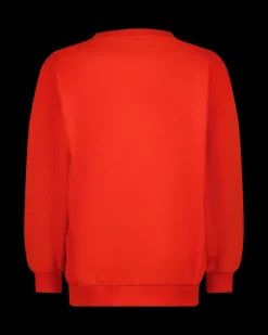 RAIZZED Hoodies En Truien<Sweater Nourie