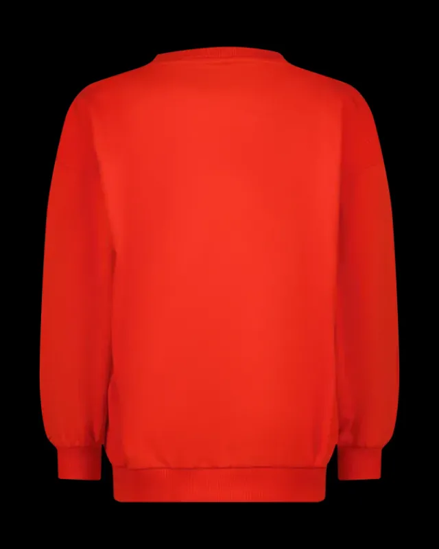 RAIZZED Hoodies En Truien<Sweater Nourie