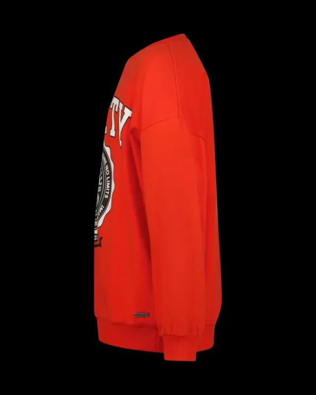 RAIZZED Hoodies En Truien<Sweater Nourie
