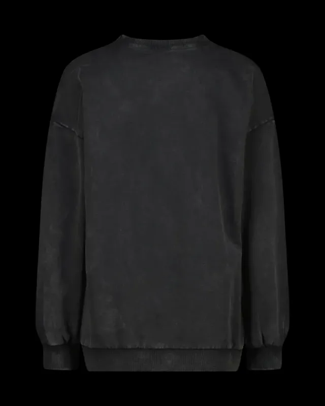 RAIZZED Hoodies En Truien<Sweater Nourie