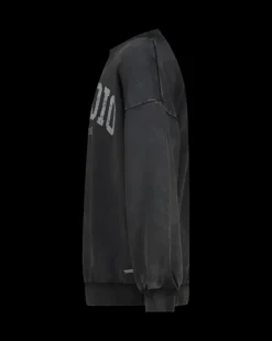RAIZZED Hoodies En Truien<Sweater Nourie
