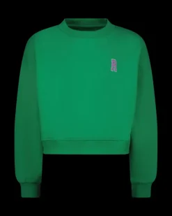 RAIZZED Hoodies En Truien<Sweater Ruba