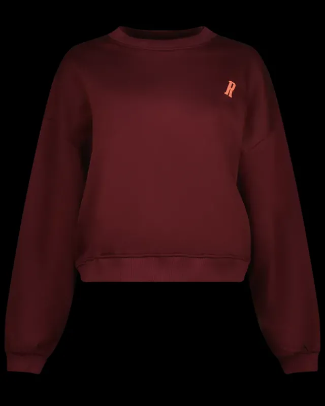 DAMES RAIZZED Hoodies En Truien<Sweater Rubie