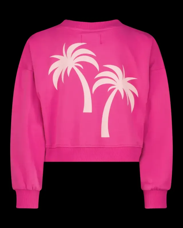 RAIZZED Hoodies En Truien<Sweater Rubin