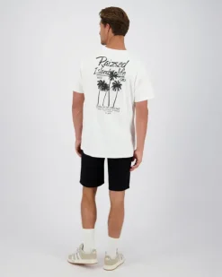 Heren RAIZZED T-shirts En Polo's<T-shirt Halm