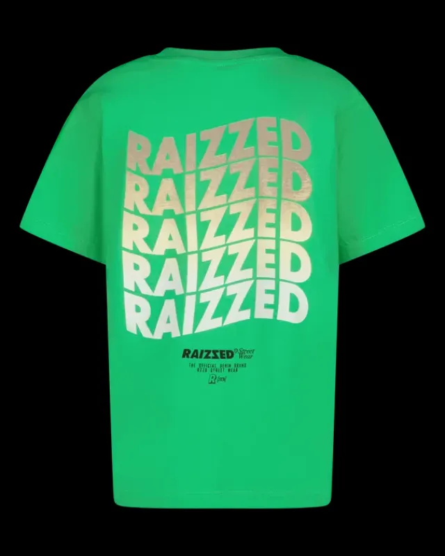 RAIZZED T-shirts En Polo's<T-shirt Haw