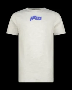 RAIZZED T-shirts En Polo's<T-shirt Hinton