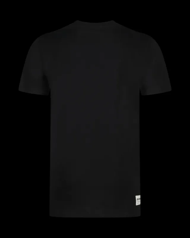 RAIZZED T-shirts En Polo's<T-shirt Hinton