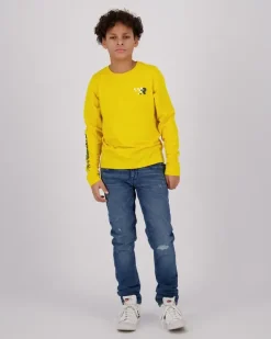 RAIZZED T-shirts En Polo's<T-shirt Homer
