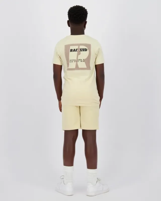RAIZZED T-shirts En Polo's<T-shirt Hoosic
