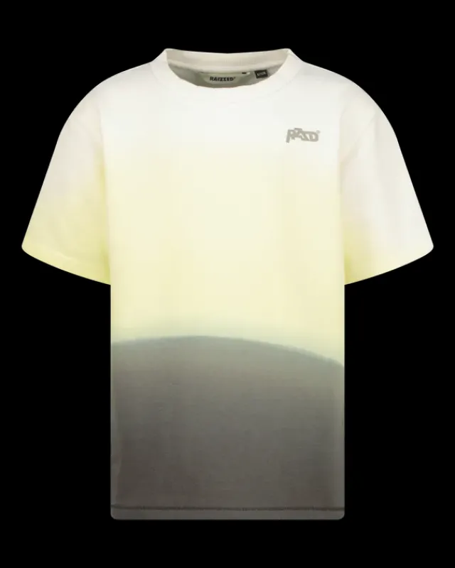 RAIZZED T-shirts En Polo's<T-shirt Horizon