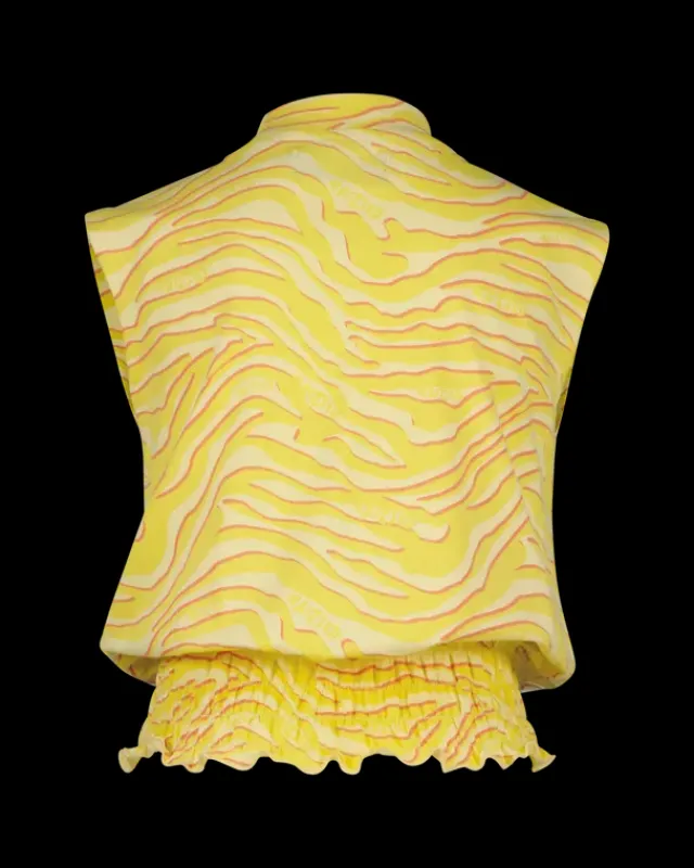 RAIZZED T-shirts En Tops<T-shirt Lieke