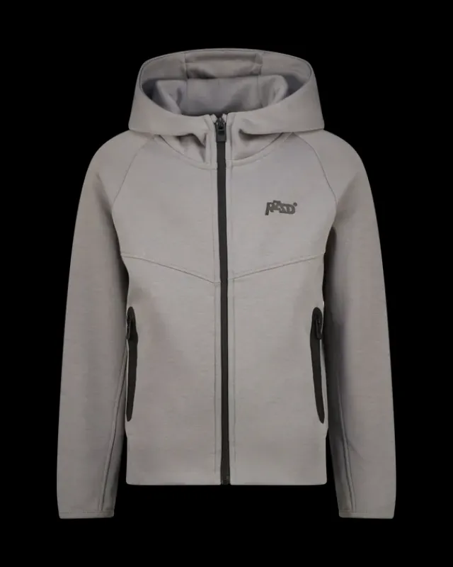 RAIZZED Hoodies En Truien<Vest Oscar